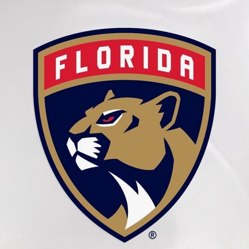 Clear Florida Panthers Crossbody Bag - Picture 3 of 16